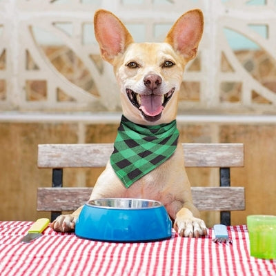 Bandana Pour Chien - ClassicPlaidDog™ - Vert&noir