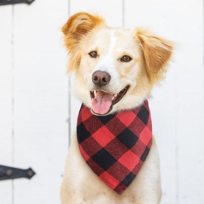 Bandana Pour Chien - ClassicPlaidDog™ - Rouge&noir