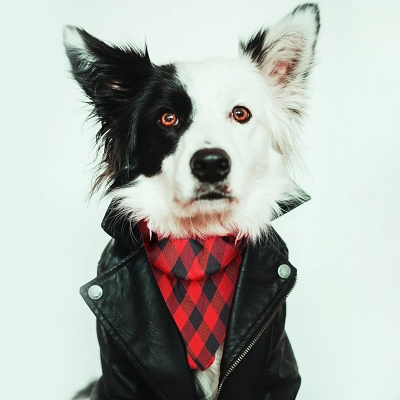 Bandana Pour Chien - ClassicPlaidDog™ - Rouge&noir