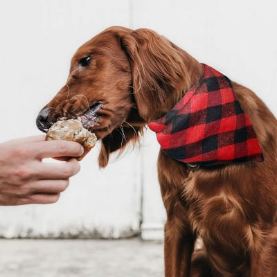 Bandana Pour Chien - ClassicPlaidDog™ - Rouge&noir