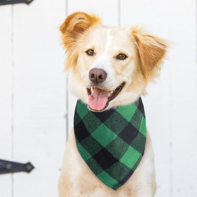 Bandana Pour Chien - ClassicPlaidDog™ - Vert&noir