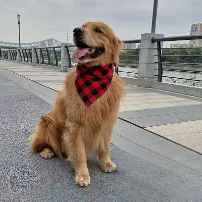 Bandana Pour Chien - ClassicPlaidDog™ - Rouge&noir