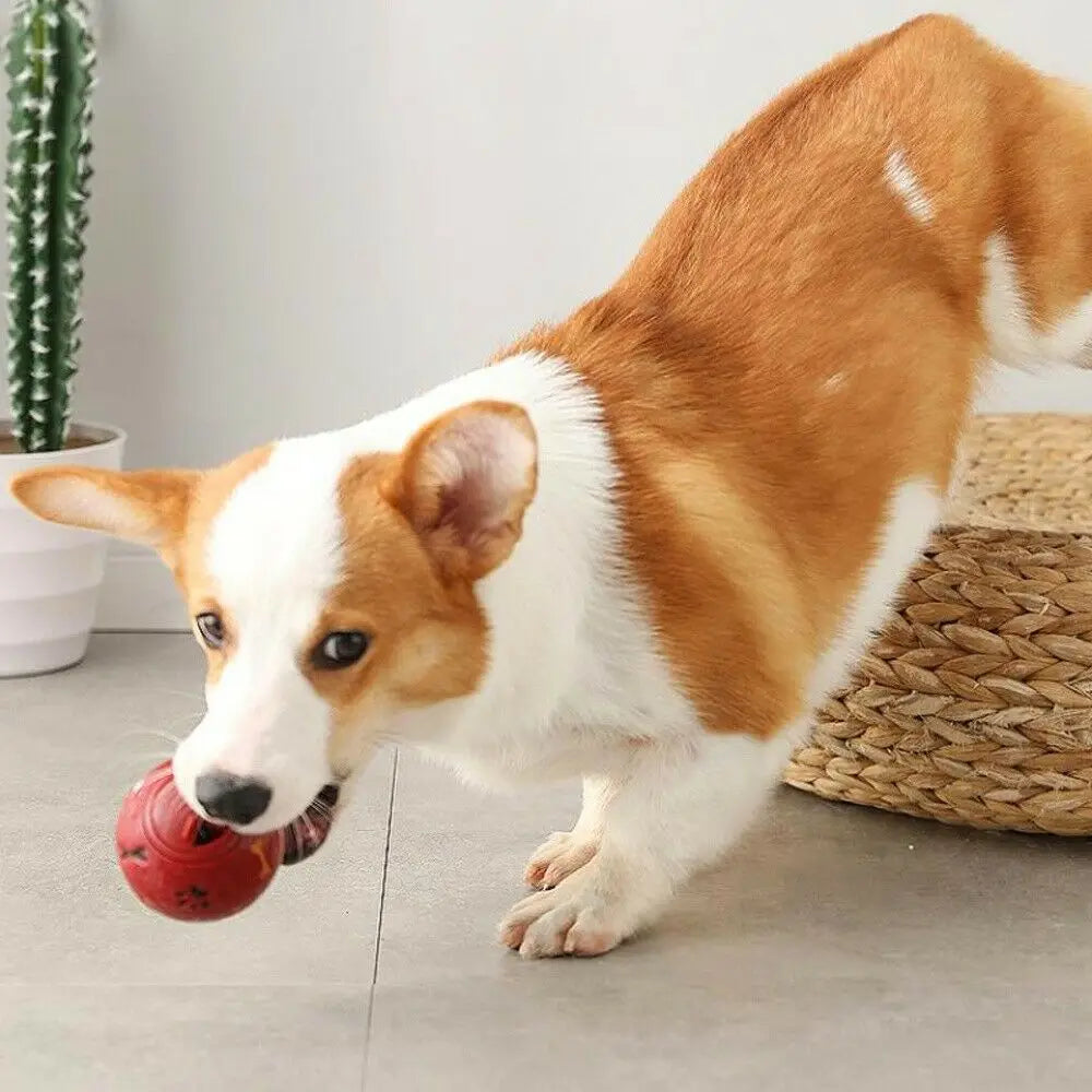 Jouet Interactif pour Chien - DoggyBrainBall™ - Rouge