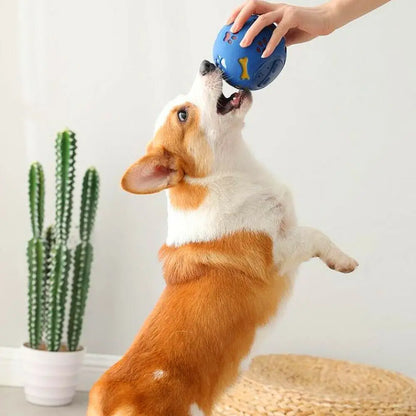 Jouet Interactif pour Chien - DoggyBrainBall™ - Bleu